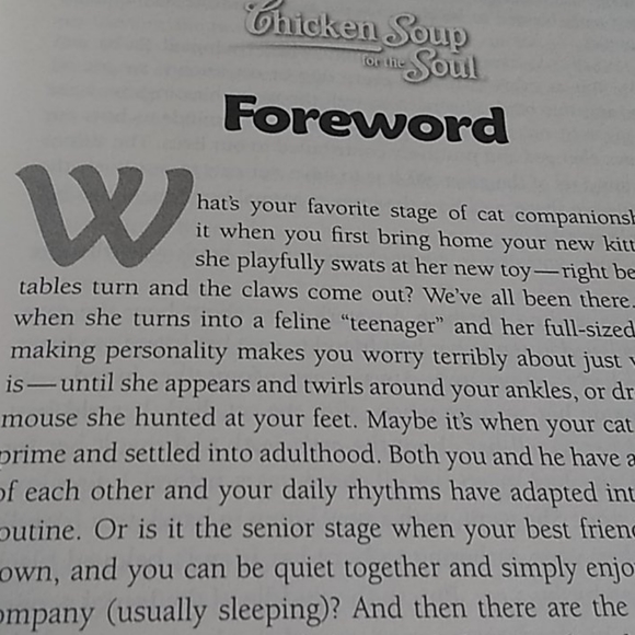 Chicken Soup for the Soul - Picture 2 of 4